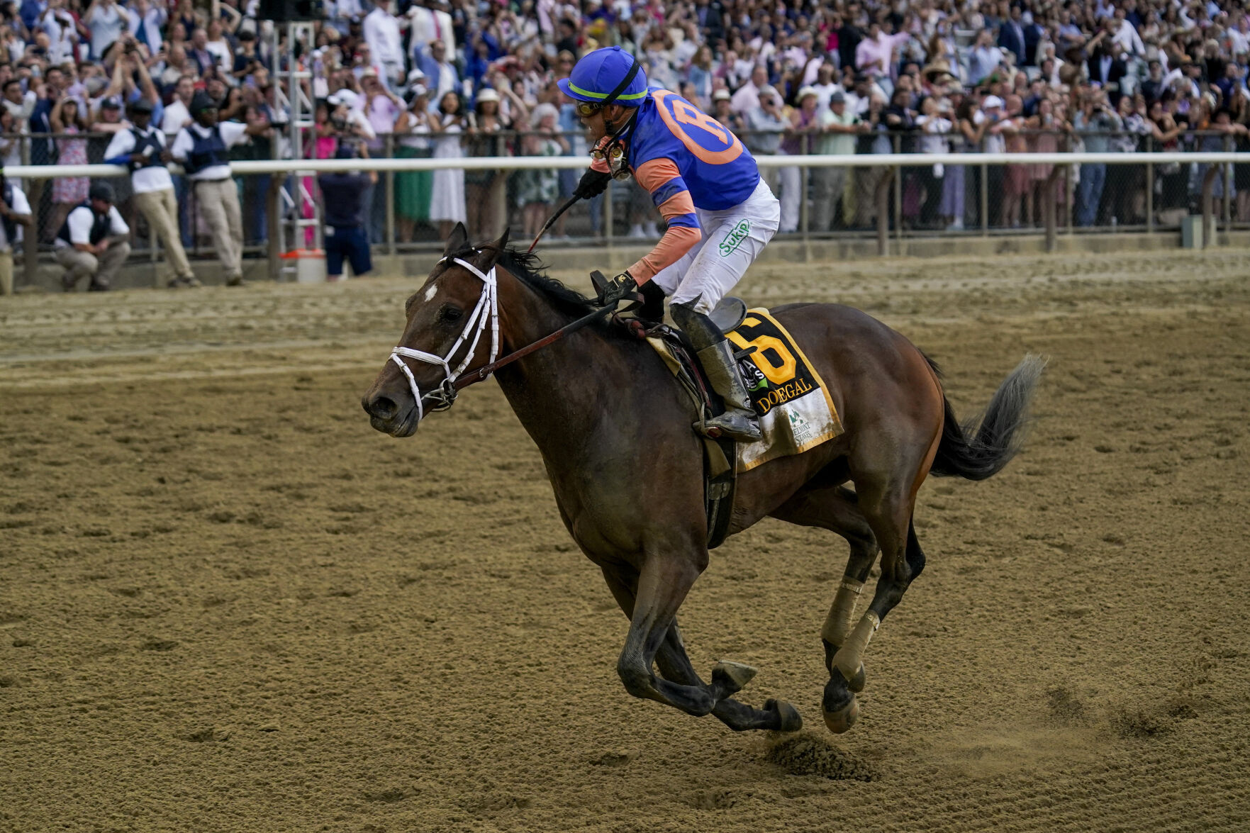 Belmont Stakes Horse Racing